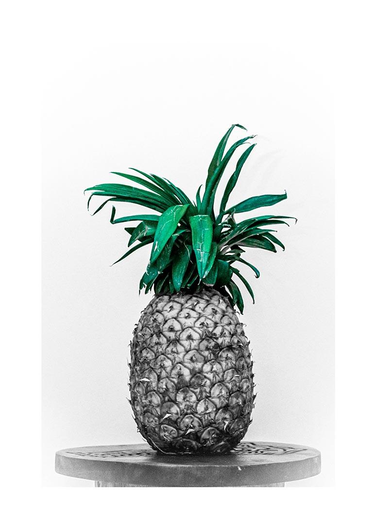 Plakat af ananas med grøn krone