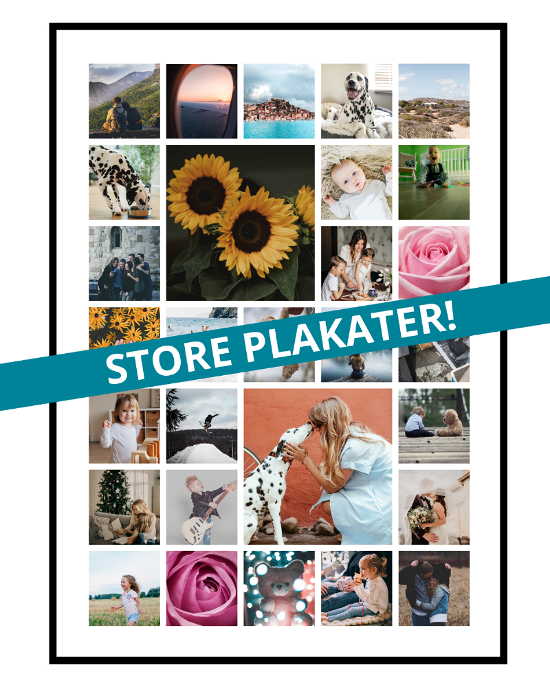 Fotocollage med 27 små og 2 store billeder