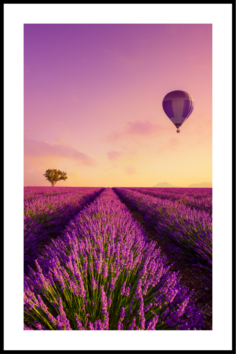 Mark med luftballon plakat - 50x70 cm