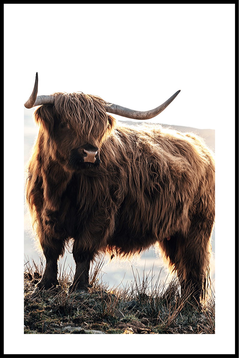 Highlander plakat - 30x40 cm dekorativ vægkunst