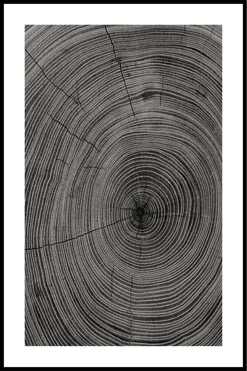 Træudskæring Plakat 1 – 30x40 cm