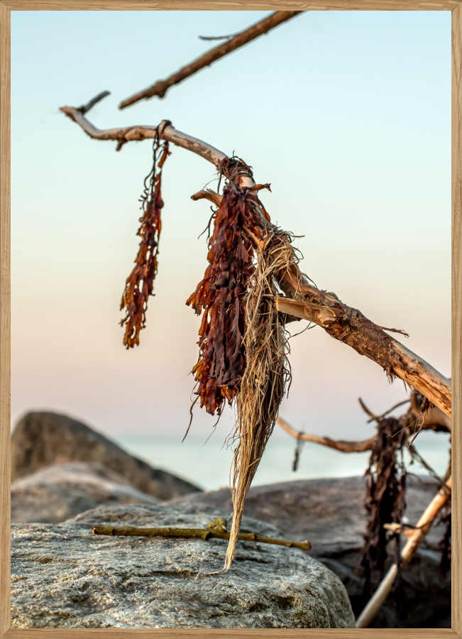 NATURPLAKAT A5 - KUNST FRA NATUREN