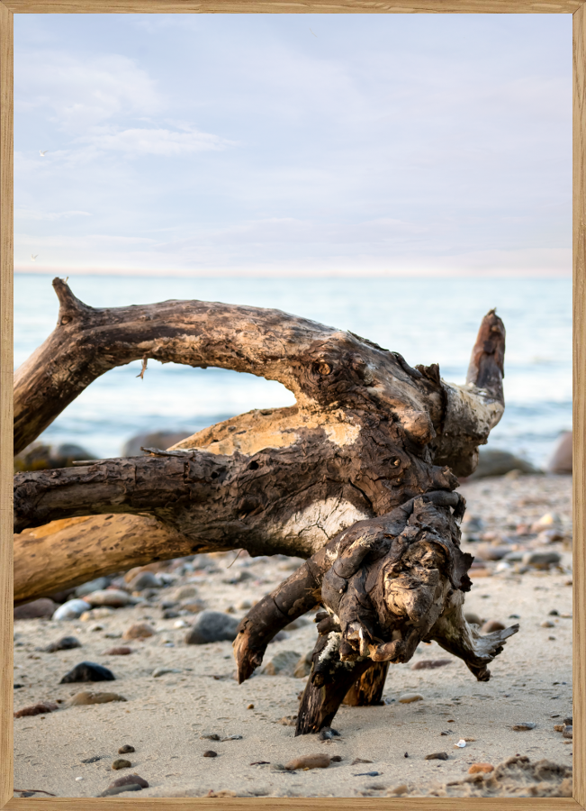DRIVTØMMER NATURPLAKAT A5 (14,8 x 21cm)