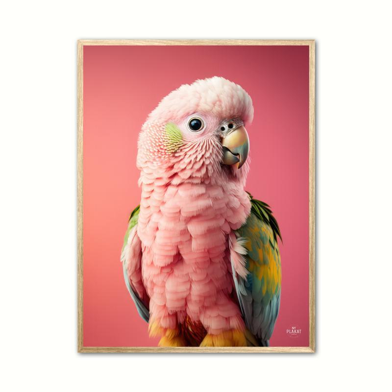 Papegøjeplakat - Pink 21 x 29,7 cm (A4)