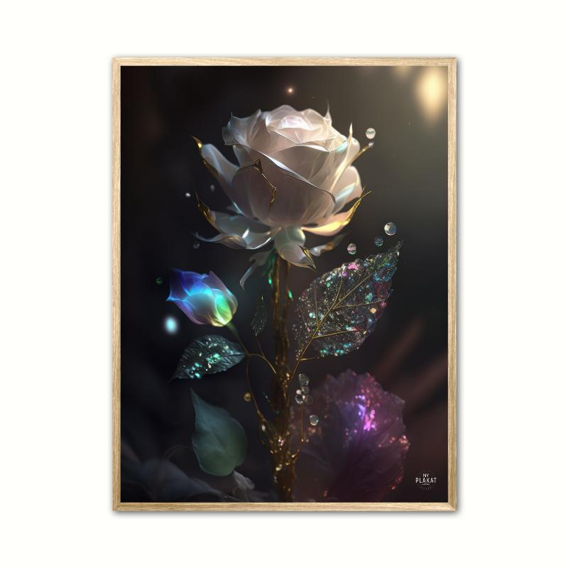 Hvid Rose Plakat - A4 Naturplakat 21 x 29,7 cm