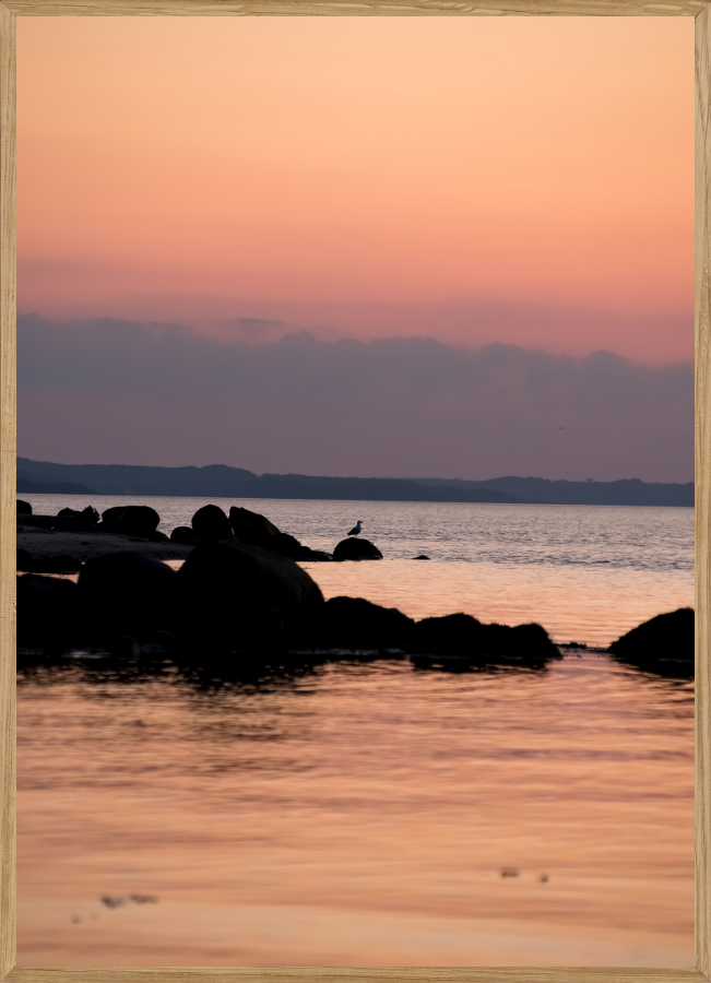 Aftensol ved Trelle Næs - Naturplakat A5