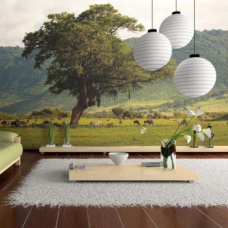 Fototapet: Ngorongoro Krateret Design