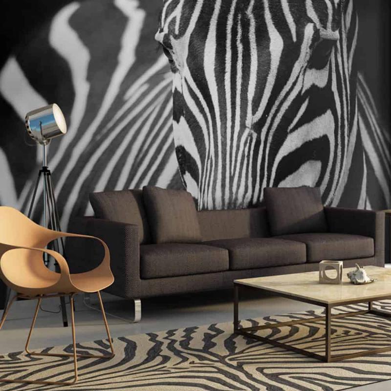 Zebra Fototapet til Væggen