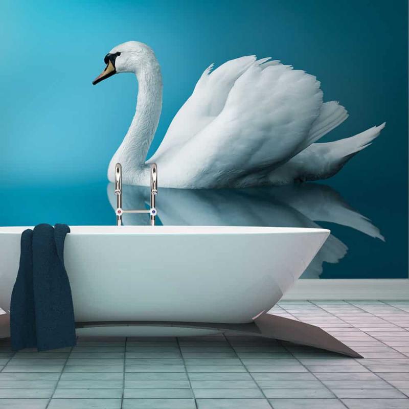 Fototapet med svane - spejlbillede