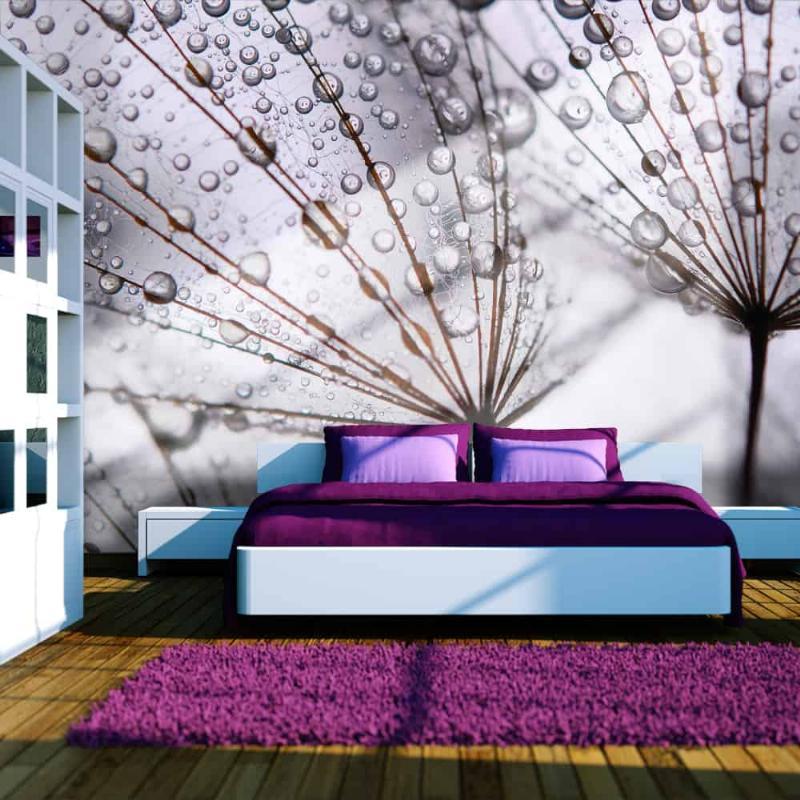 Fototapet med Mælkebøtter og Dugdråber