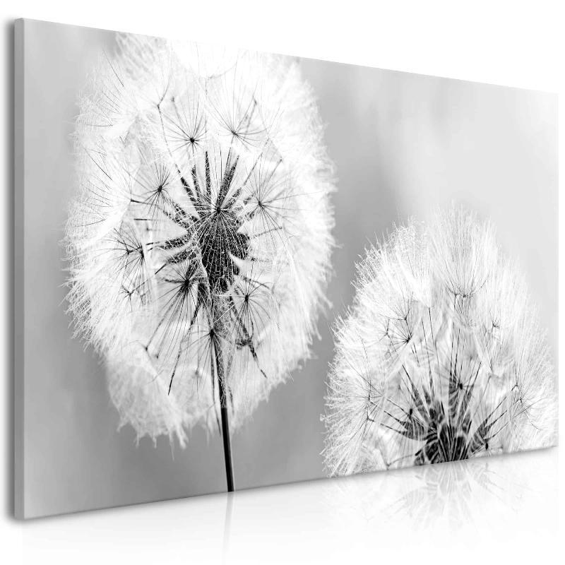 Fluffy Dandelions Lærredstryk Grå (1 stk)