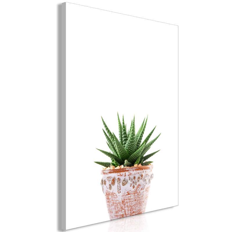 Succulent Lærredstryk i Potte (1 stk)