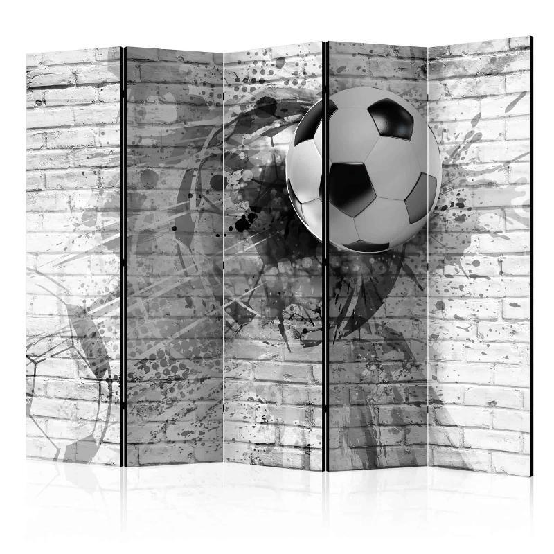 Skærmvæg til Dynamic Football II