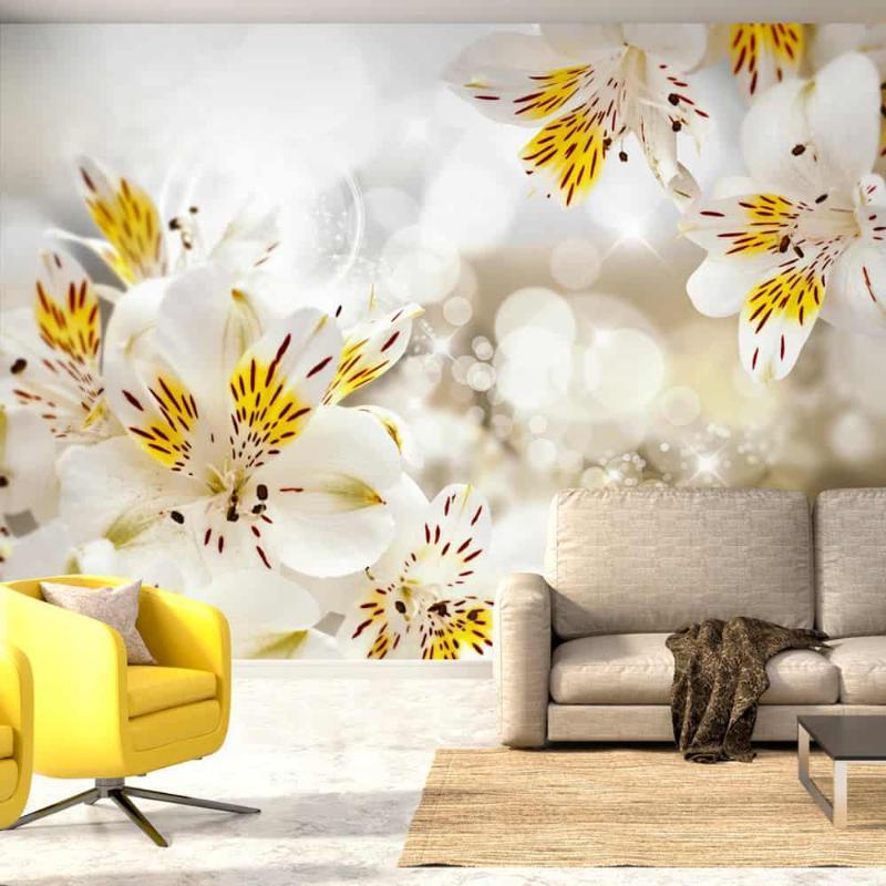 Fototapet med solrige Alstroemeria blomster