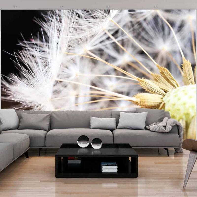 Fluffy Dandelion Fototapet