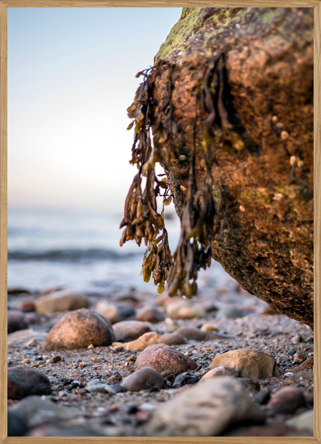 NATURPLAKAT A5 - FREDFYLDT (14,8 x 21cm)