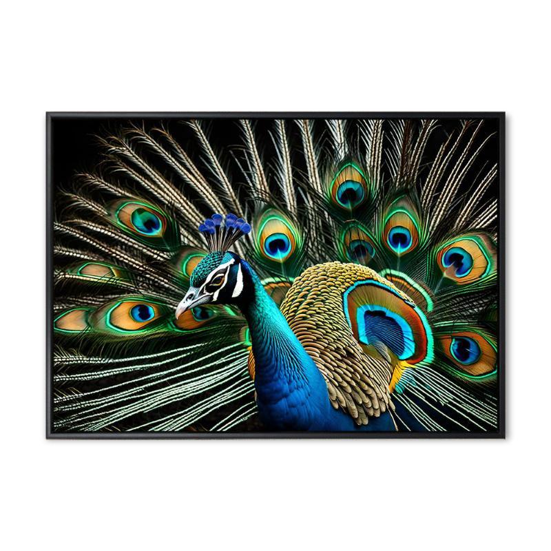Påfugl 02 – 70x100 cm – Sort svæveramme