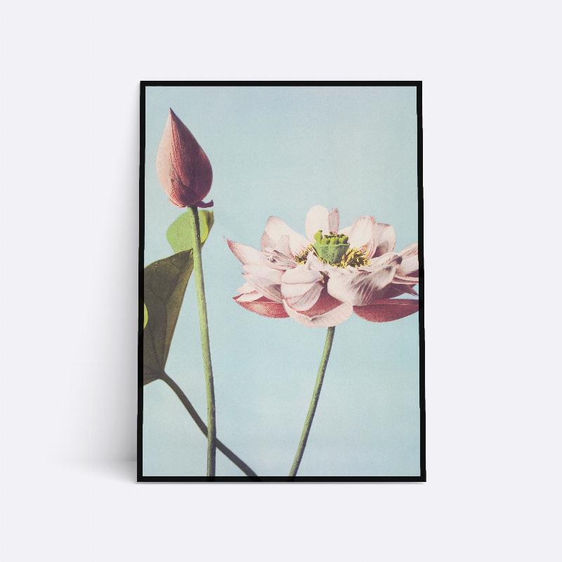 Illustreret Blomst - 21x30 cm