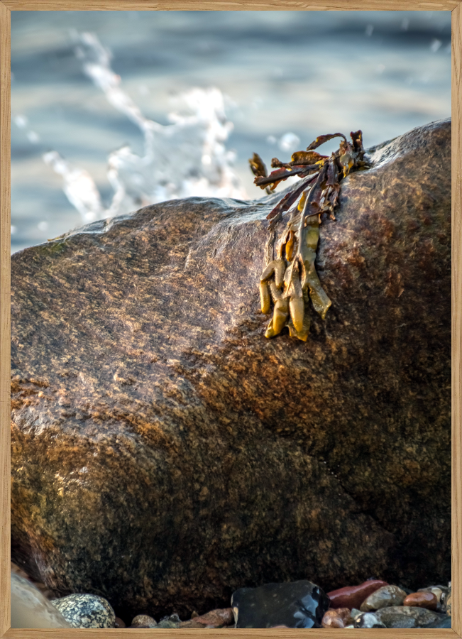 PLASK – A5 Naturplakat (14,8 x 21 cm)