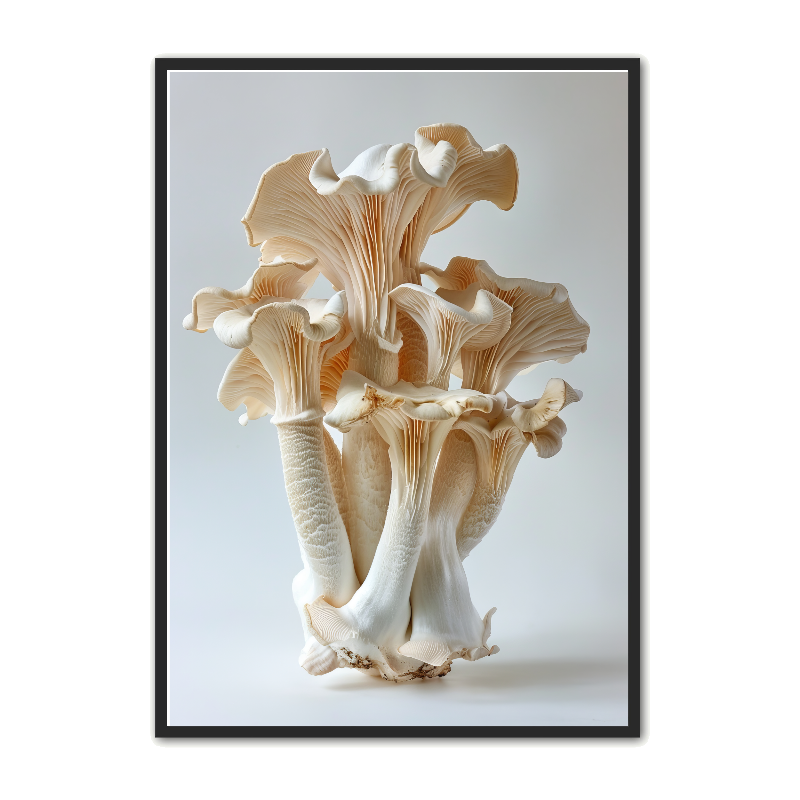 Svampeplakat 26 – Naturplakat A4 21 x 29,7 cm