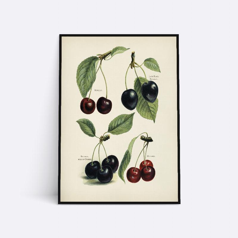 Kirsebær – 21x30 cm