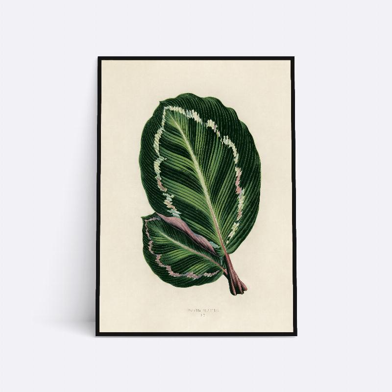 Blade – 21x30 cm