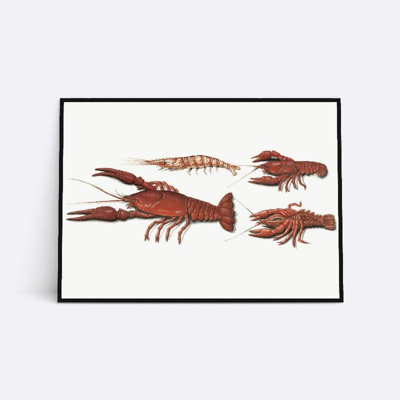 Rød hummer - 21x30 cm