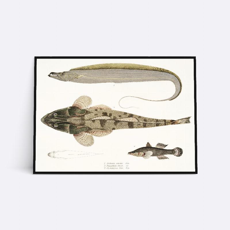Jordfarvet Fisk - 21x30 cm