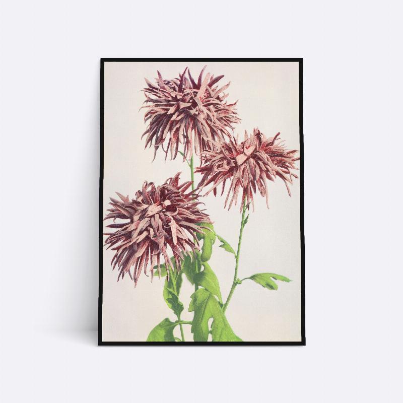Vilde Blomsterhoveder - 21x30 cm