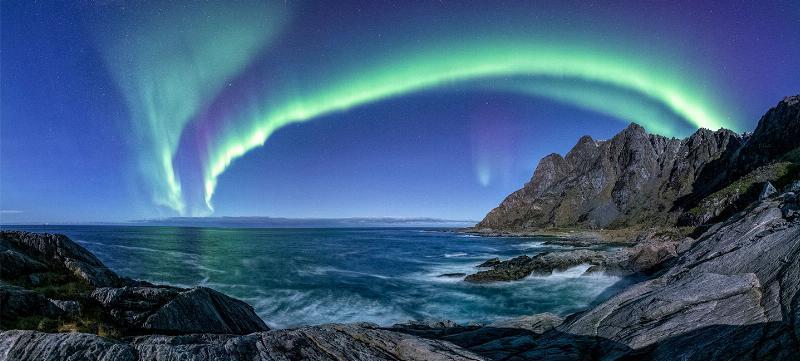 Aurora Bue fra Frank Olsen