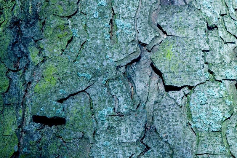 Bark - Kunstværk af Kirsten Stigsgaard