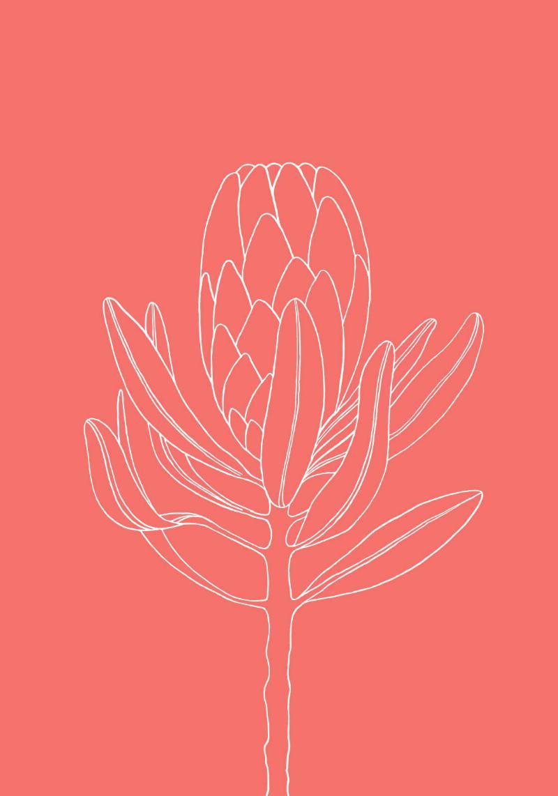 Koralblomst fra Ten Valleys