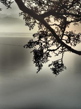 Dawn fra Bytraberg
