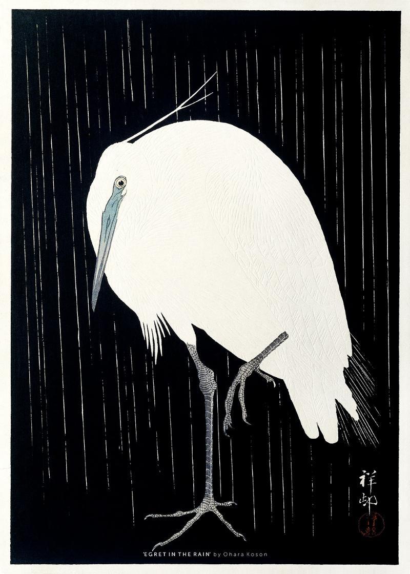 Egret i Regnen af Plakatwerket