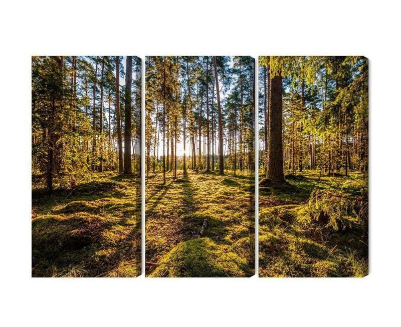 3D Solrigt Skovlandskab på Flerdelt Lærred