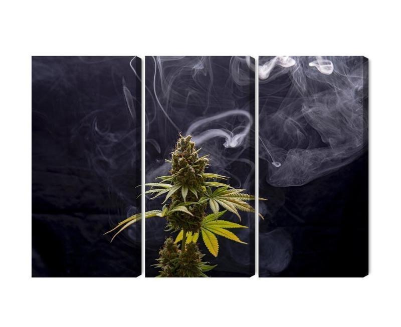 Cannabisplante på røget baggrund - Flerdelt lærred