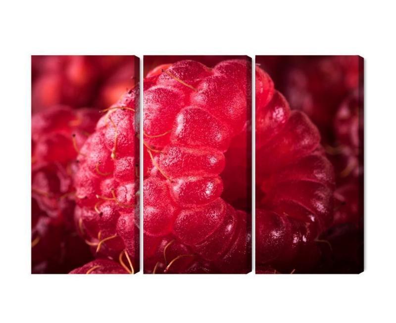Makro skala hindbær lærred i flere dele