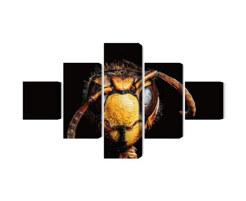 Makroskala lærred med hornet motiv