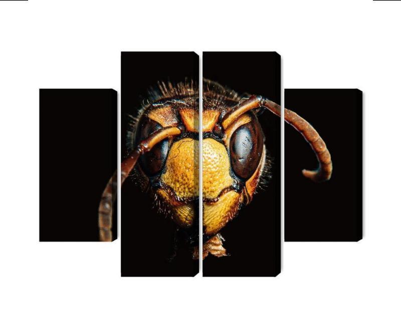 Makroskala lærred med hornet motiv
