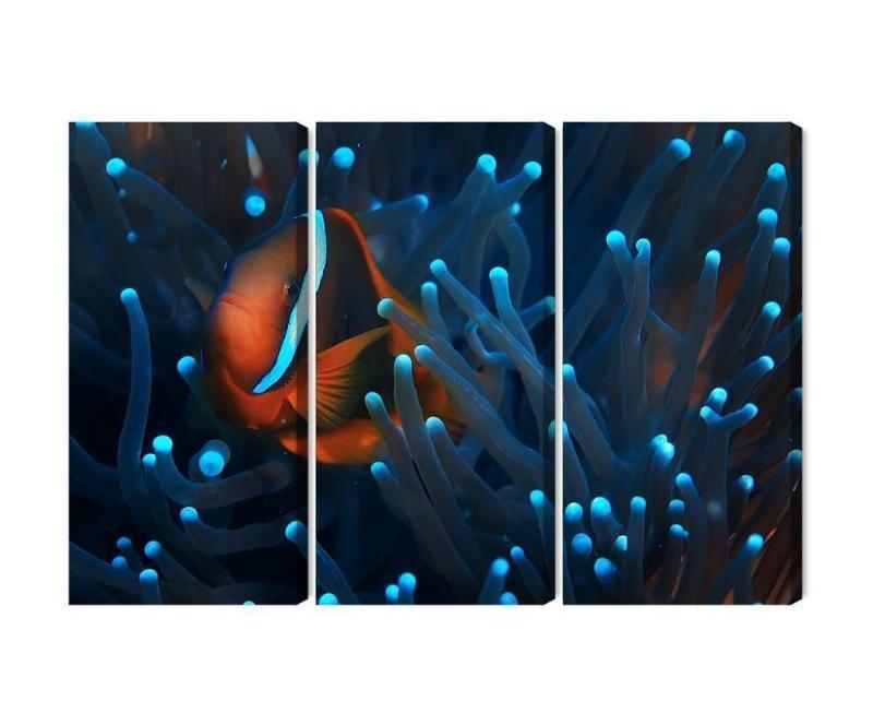 3D-anemone med klovnefisk i lærred