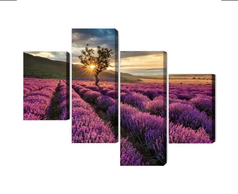 Lavendelmark ved solnedgang - 3D lærredsbillede