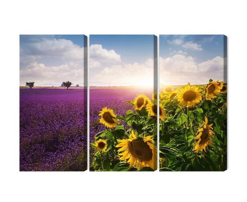 3D Lærred med Lavendel og Solsikker