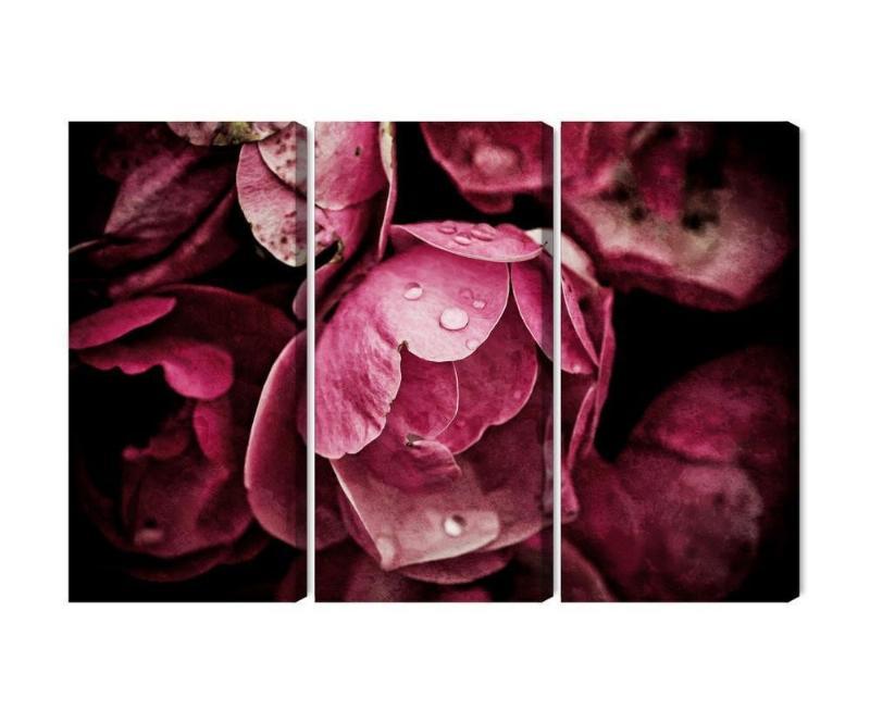 3D-pæonblomster på flerledet lærred
