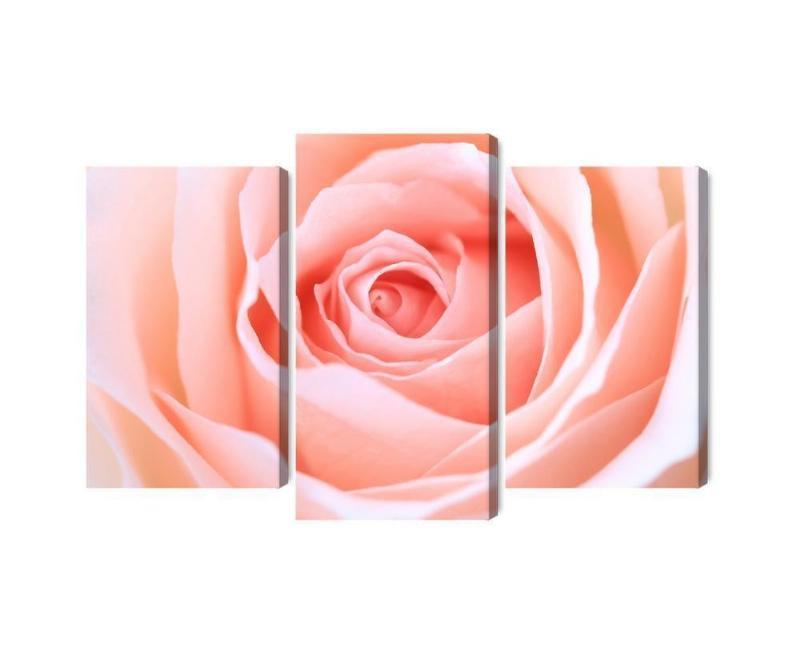 Pastelrosa 3D makro lærred i flere dele
