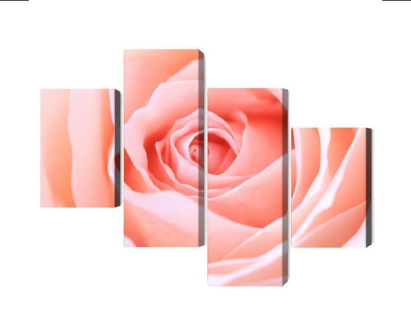 Pastelrose 3D makro lærred i flere dele