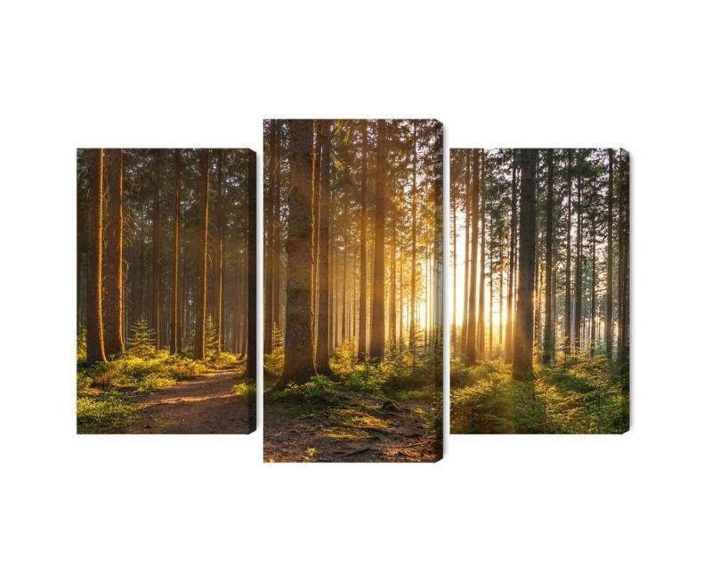 Flere dele lærred med skovsolnedgang