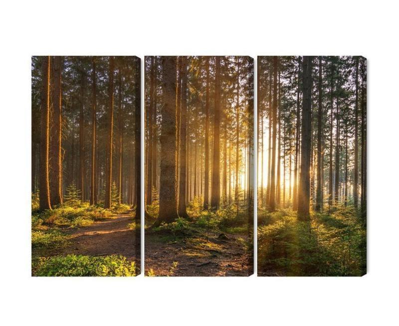 Flere dele lærred: Solnedgang i skoven