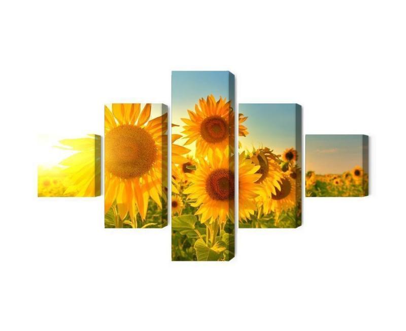 Solsikkemark ved solnedgang - 3D lærredskunst
