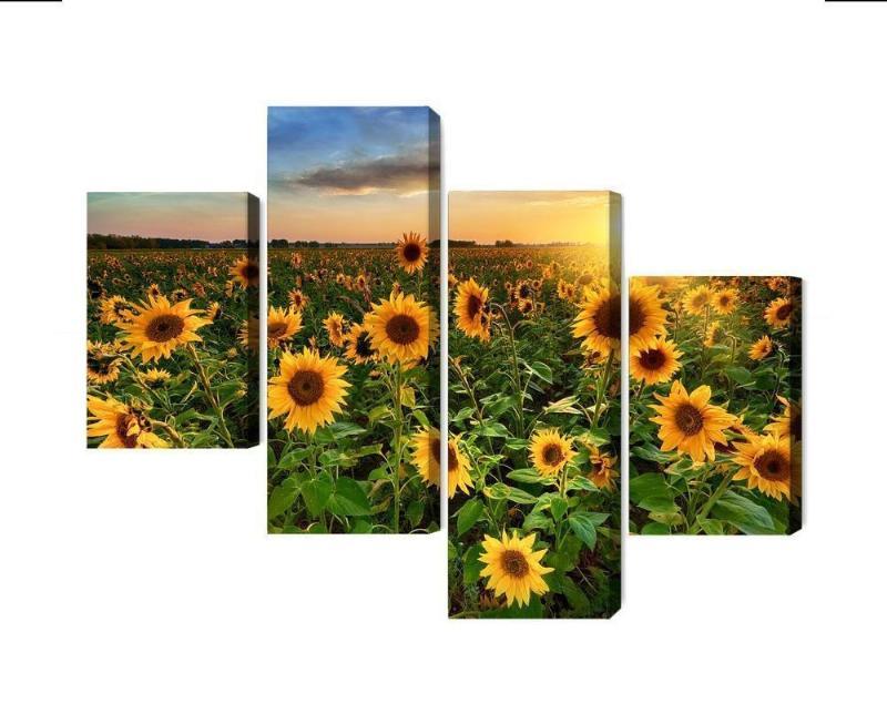 Solsikkemark ved solnedgang - 3D lærred billede