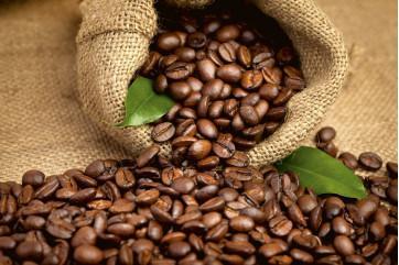 Fototapet - Kaffebønner Design